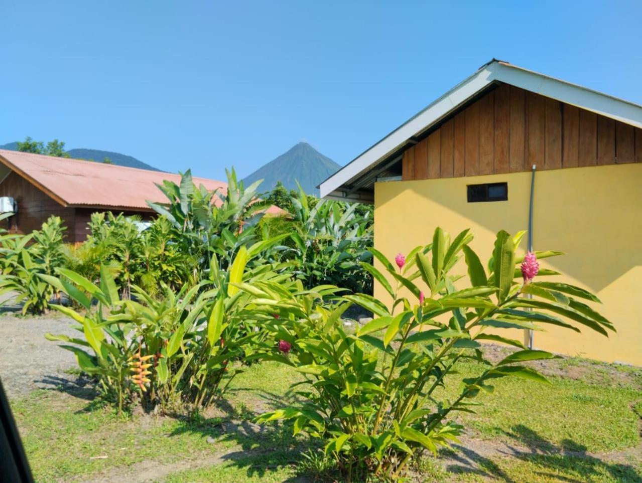 Cabana Rural Pura Vida ラ・フォルトゥナ エクステリア 写真