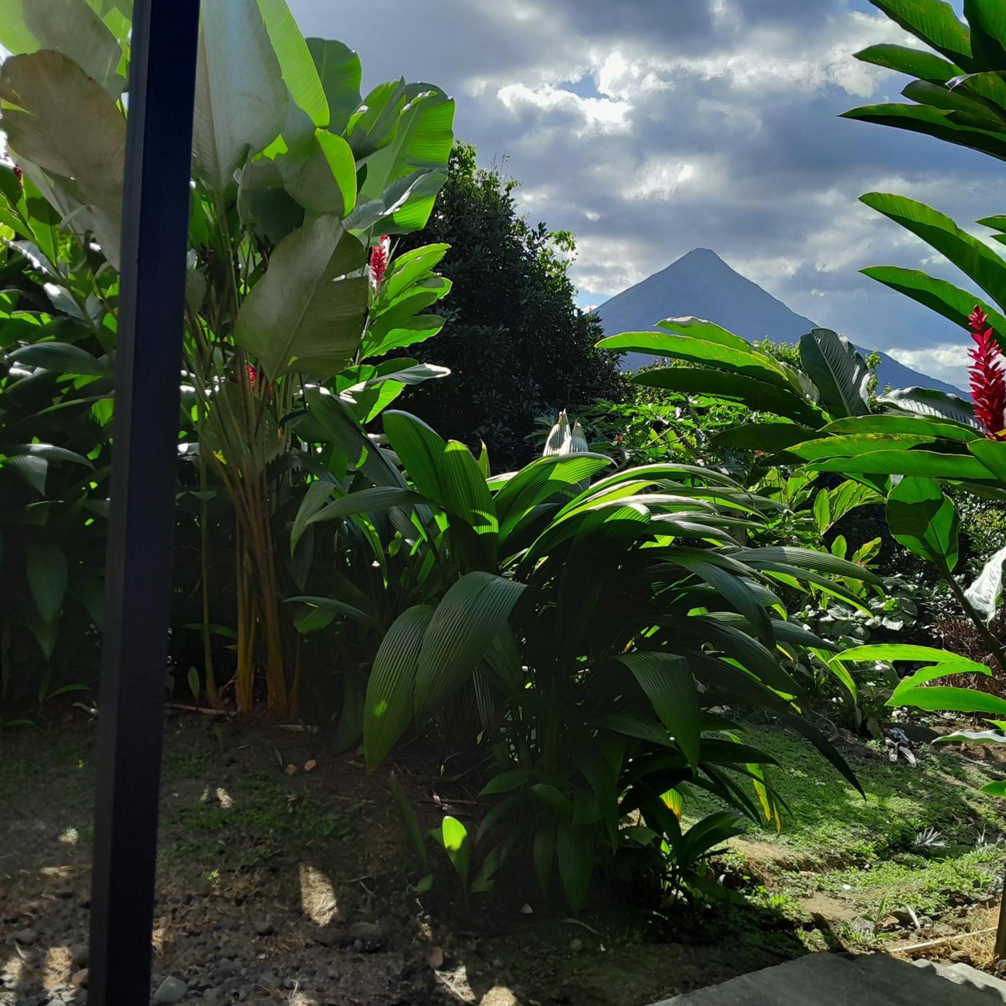 Cabana Rural Pura Vida ラ・フォルトゥナ エクステリア 写真